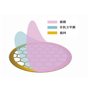 100目碳支持膜